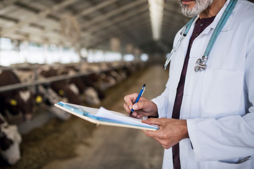 OCV: “Los veterinarios somos la columna vertebral del sistema de prevención y control de enfermedades en ganadería”