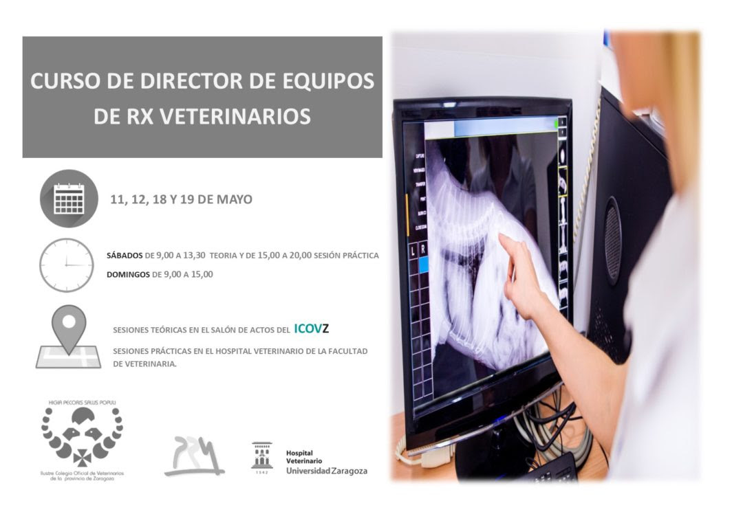 Curso de Director de Equipos de RX Veterinarios