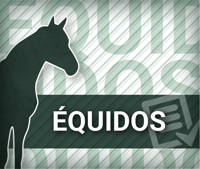 Abierto el plazo de Preinscripción para obtener el Certificado Español en Clínica Equina (CertEspCEq) en la convocatoria de 2020