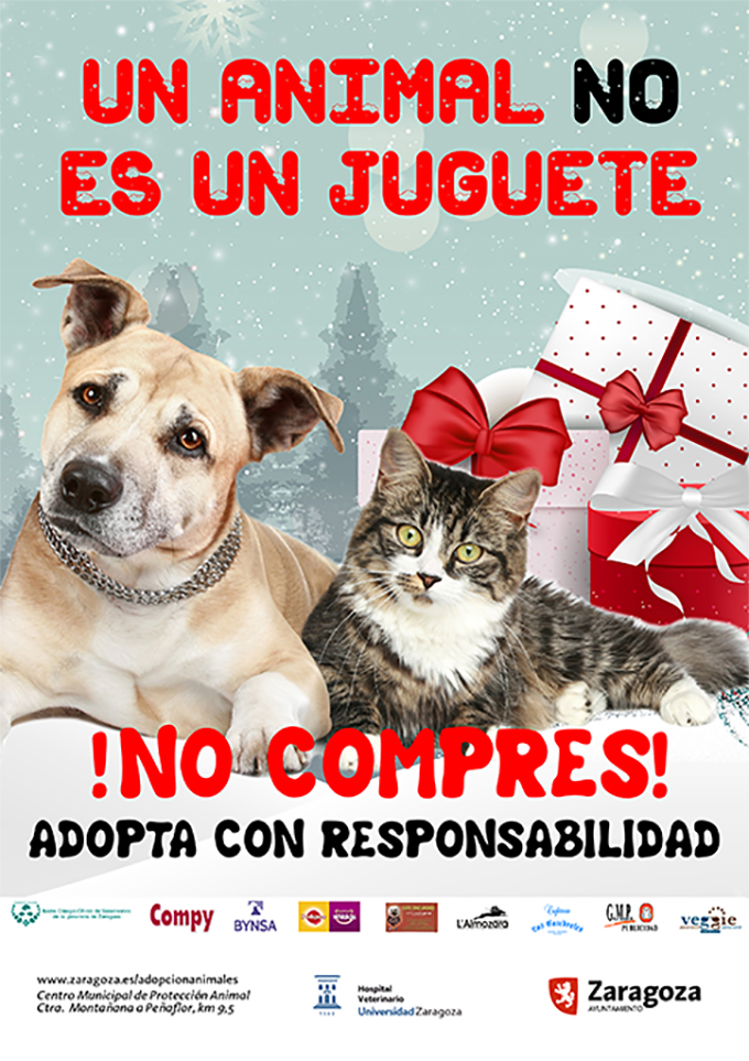 El Colegio de Zaragoza colabora con el ayuntamiento en la campaña "Un animal no es un juguete"