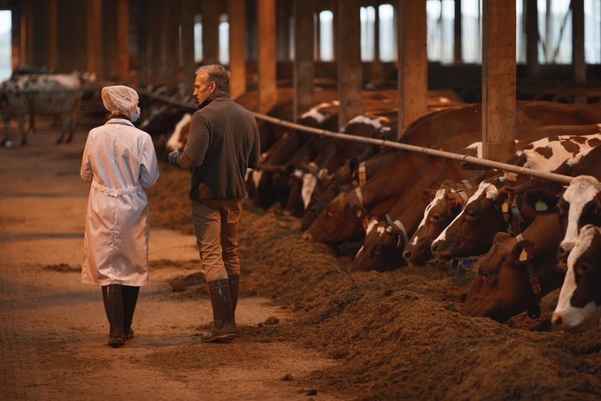 Francia y Gran Bretaña poseen títulos propios en producción animal