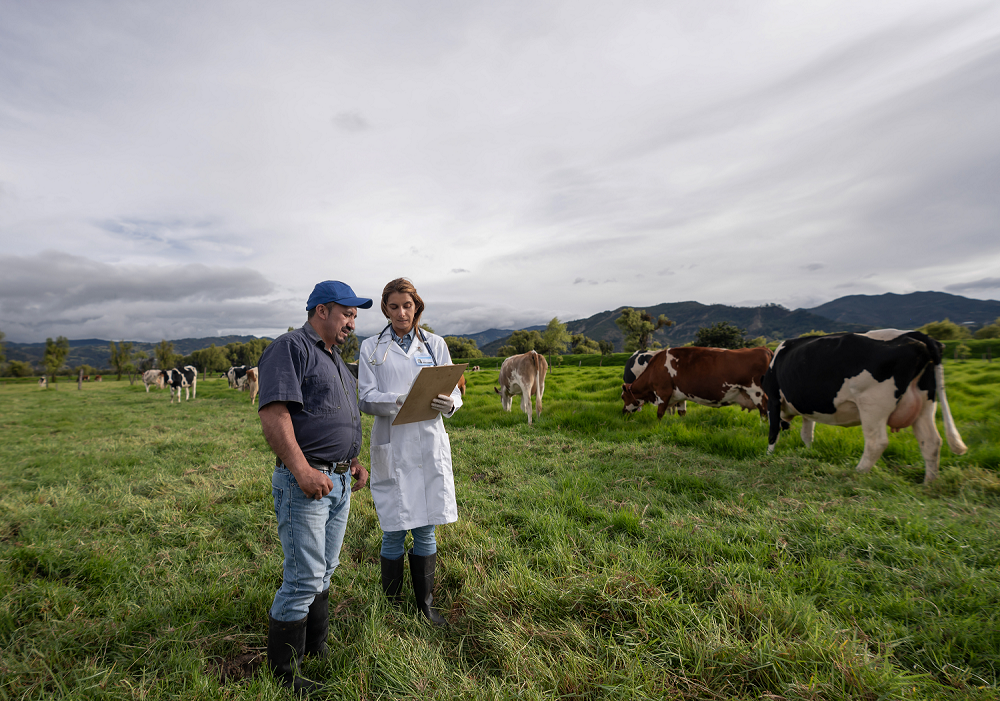 Los avances en investigación veterinaria reducen hasta un 60% las enfermedades en granjas