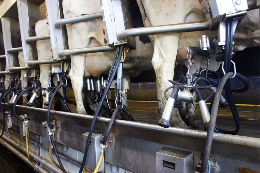 El Colegio de Veterinarios de Zamora organiza el III Programa de Seguridad Alimentaria