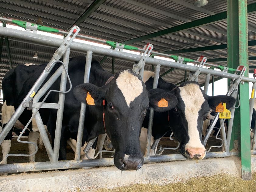 La OCV participa en el grupo de trabajo para el desarrollo de la figura del veterinario de explotación