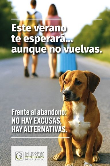 El Colegio de Valencia lanza una campaña contra el abandono animal en verano y recuerda que la identificación es un pilar para combatirlo