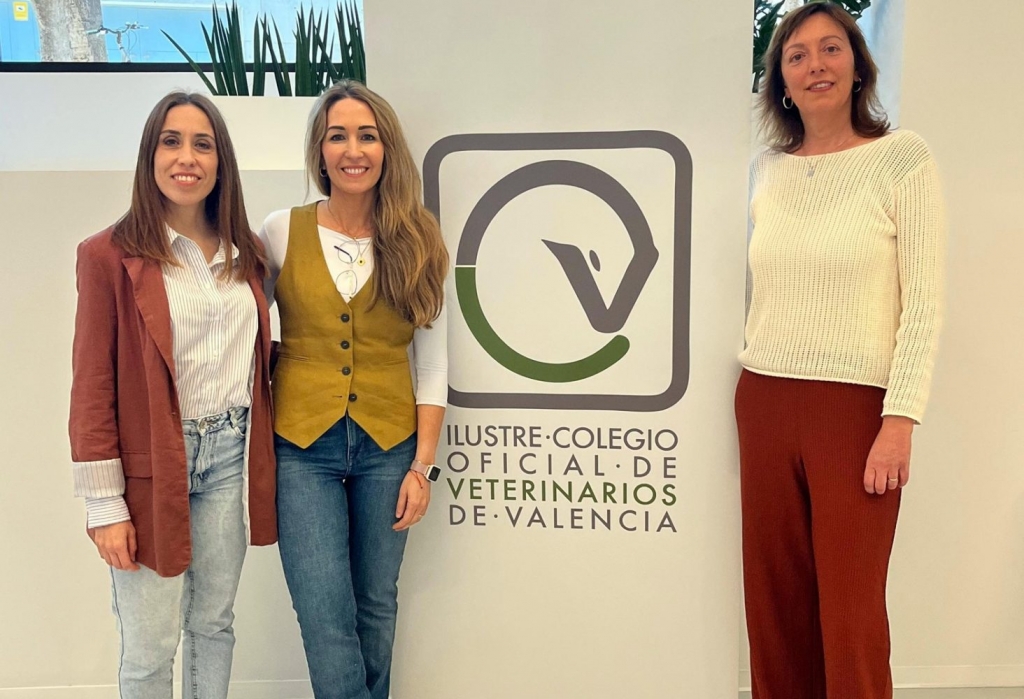 El programa de acompa&ntilde;amiento emocional de los veterinarios valencianos se consolida en su primer a&ntilde;o de existencia
