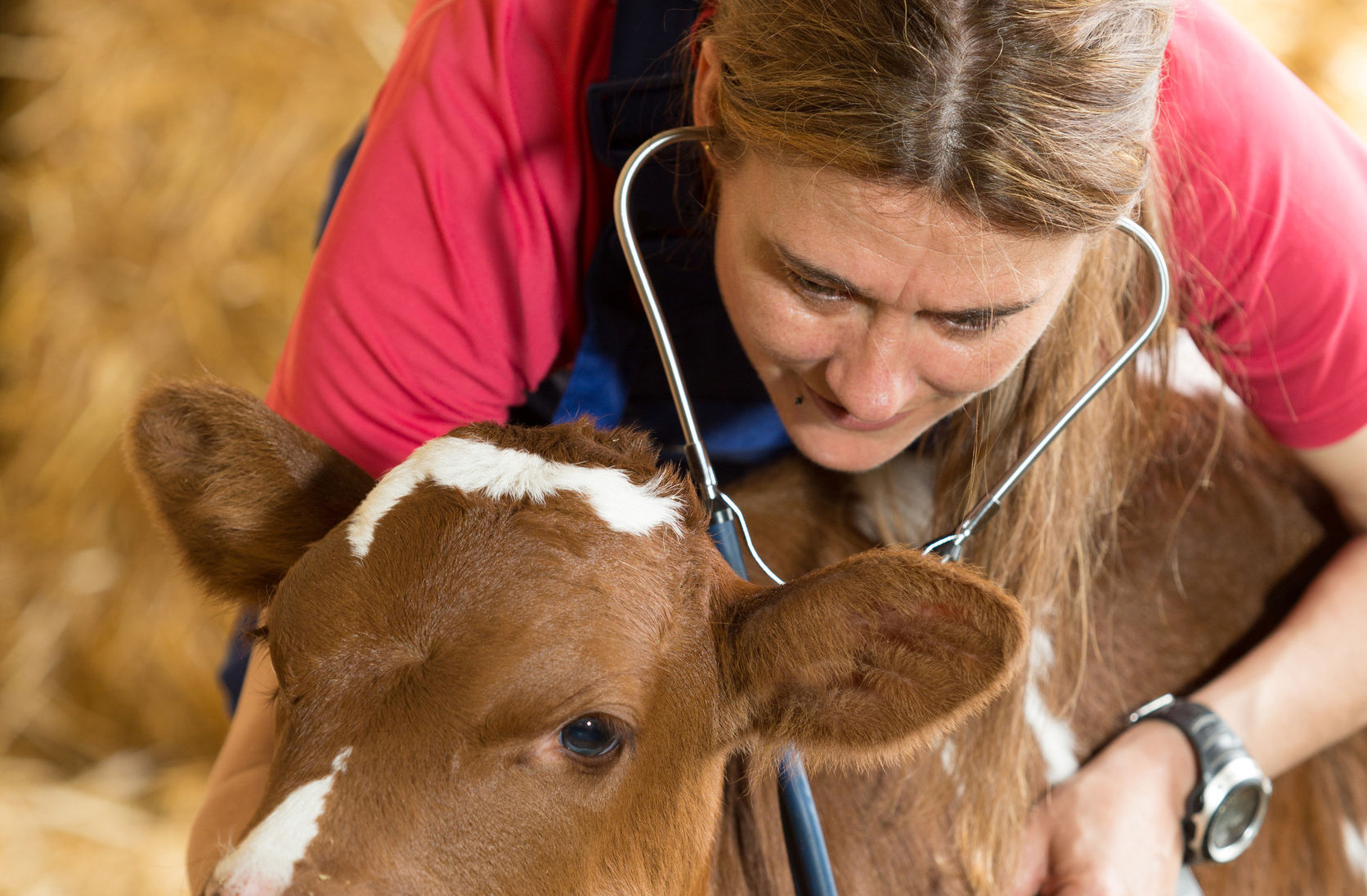 La mujer será en breve mayoría en la Veterinaria europea