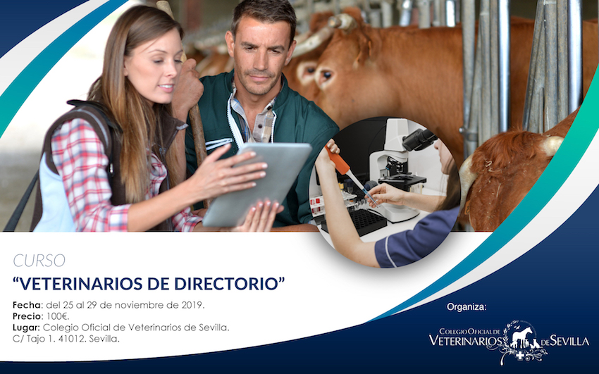 Curso de Veterinarios de Directorio