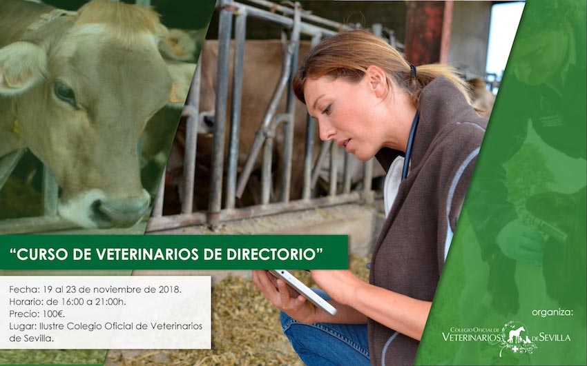 Curso de Veterinarios de Directorio