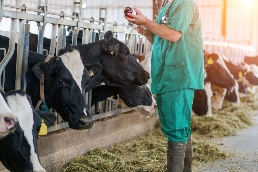 El Consejo de Castilla La Mancha destaca el papel de los veterinarios rurales en el control de todos los alimentos que llegan al consumidor