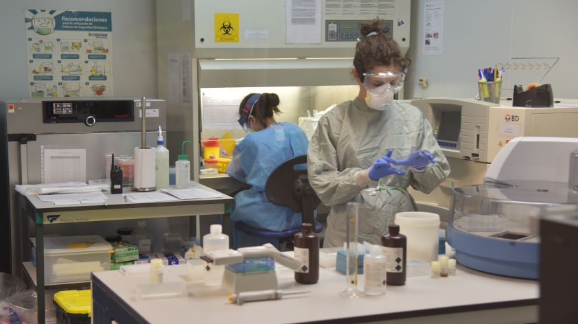La OCV reclama el acceso de los profesionales veterinarios a la formación especializada del Sistema Nacional de Salud