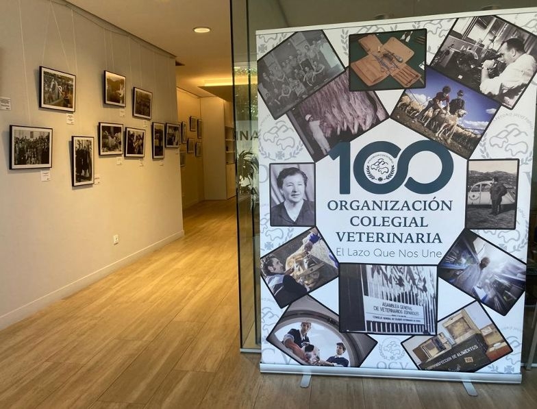 Bilbao acoge hasta el 7 de julio la exposición fotográfica del centenario del Consejo General