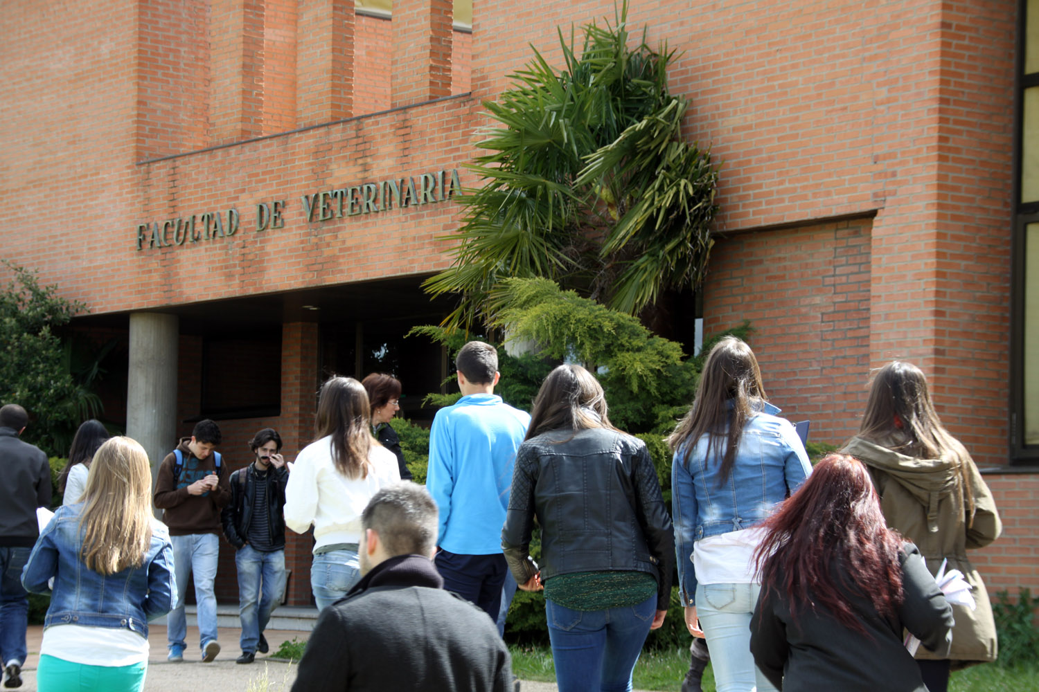 Siete Facultades españolas, entre las 100 mejores del mundo