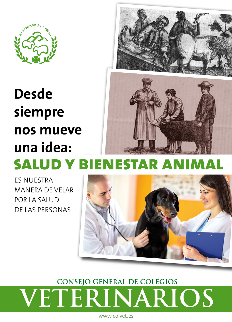 Salud y bienestar animal, razón de ser de la profesión veterinaria