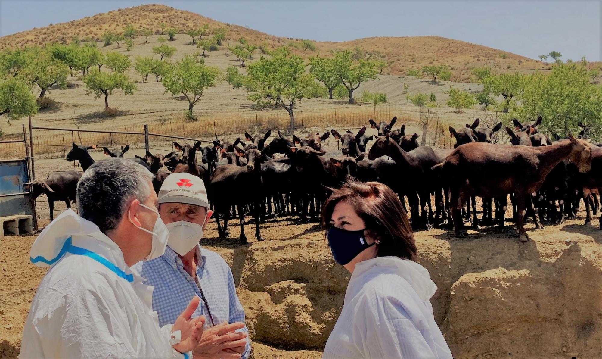 El Colegio de Veterinarios de Almería aboga por el producto local para apoyar a los ganaderos de la provincia