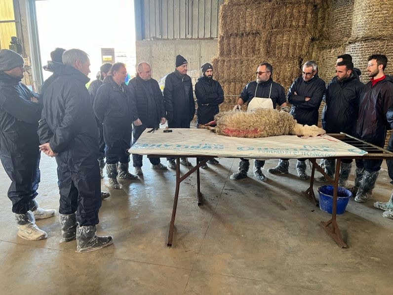 Más de treinta veterinarios asisten al curso sobre diagnóstico anatomopatológico de lesiones del sistema respiratorio en ovino desarrollado en Zamora