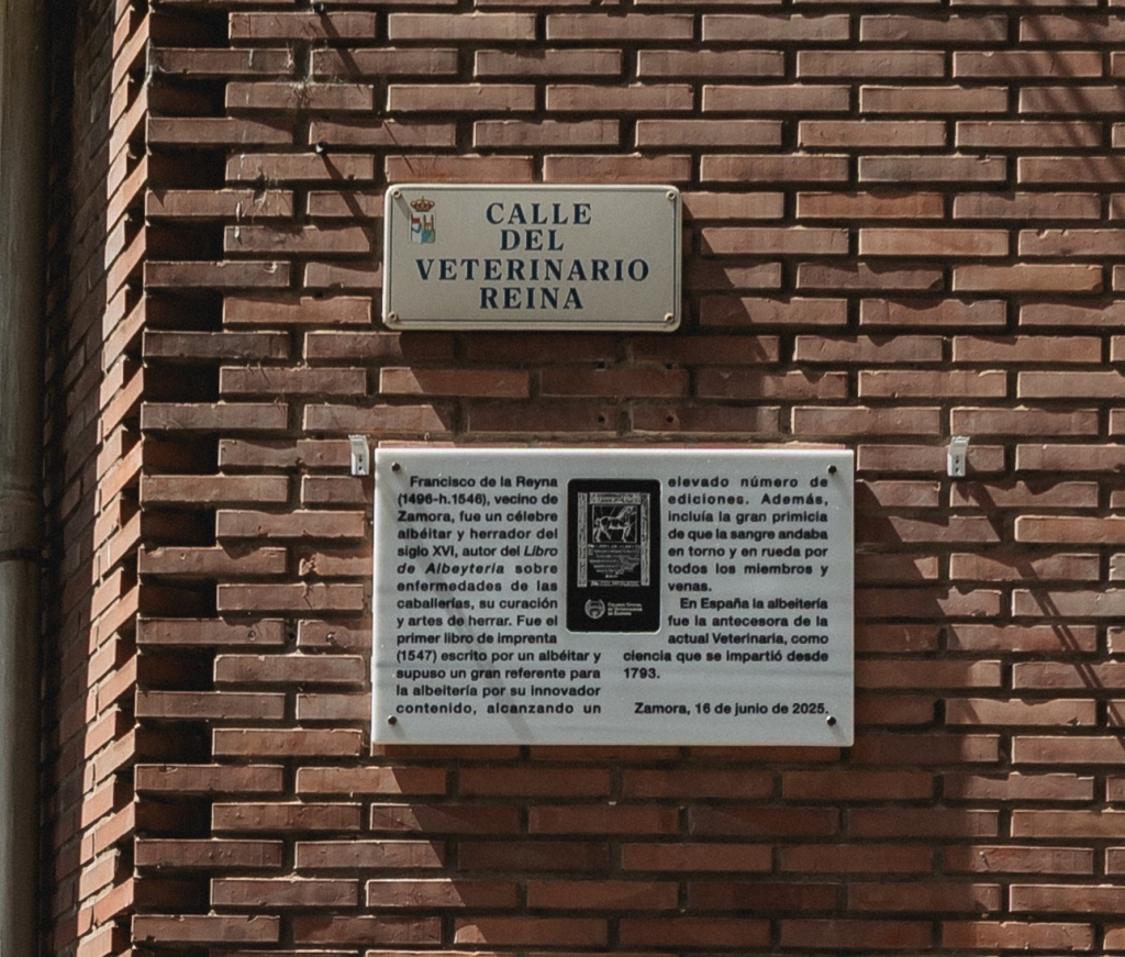 Una nueva placa recuerda al albéitar Francisco de la Reyna en la calle que lleva su nombre en Zamora