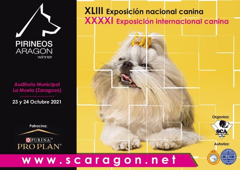 El Colegio de Veterinarios de Zaragoza participó en la XLIII Exposición Nacional Canina celebrada en La Muela