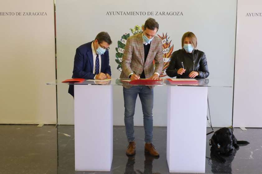 Convenio entre Ayuntamiento de Zaragoza, Colegio de Veterinarios y Asociación de Perros Guía para registrar el ADN de estos animales