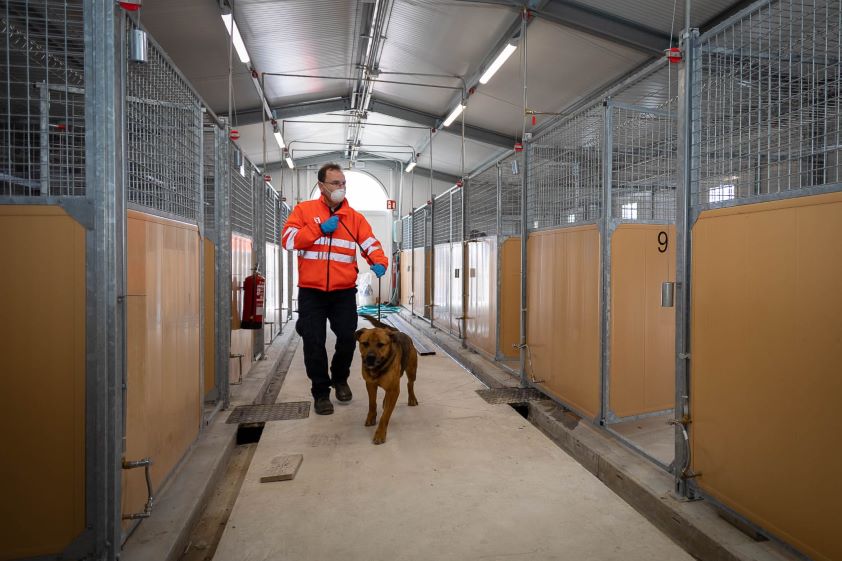 El Colegio de Zaragoza manifiesta su inquietud ante el futuro del Centro Municipal de Protección Animal
