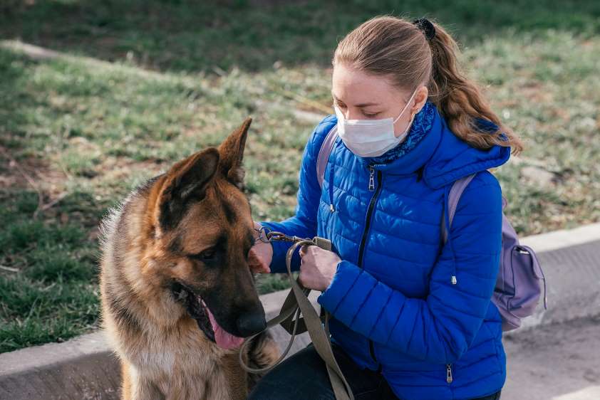 El Colegio de Zaragoza y CerTest Biotec colaborarán en la validación de un método de diagnóstico de SARS-CoV-2 en animales de compañía