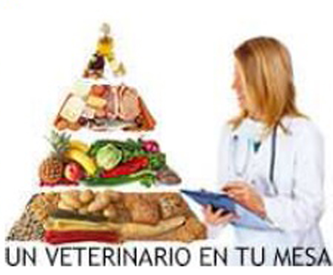 La profesión veterinaria, en la televisión aragonesa