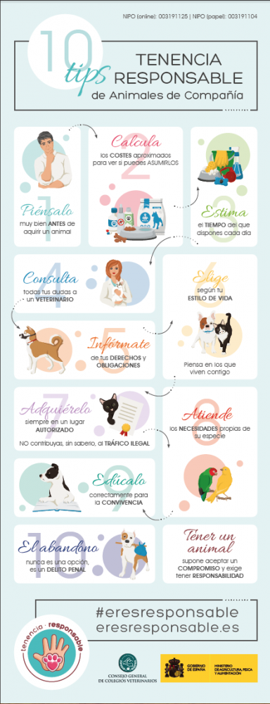 CAMPAÑA TENENCIA RESPONSABLE / INFOGRAFIA 10 TIPS