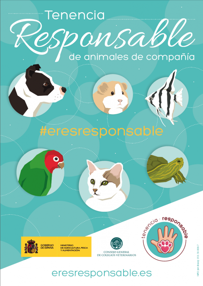 CAMPAÑA TENENCIA RESPONSABLE / CARTEL A3