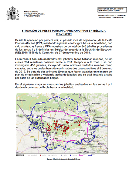 SITUACIÓN DE PESTE PORCINA AFRICANA (PPA) EN BÉLGICA (11.01.2019)