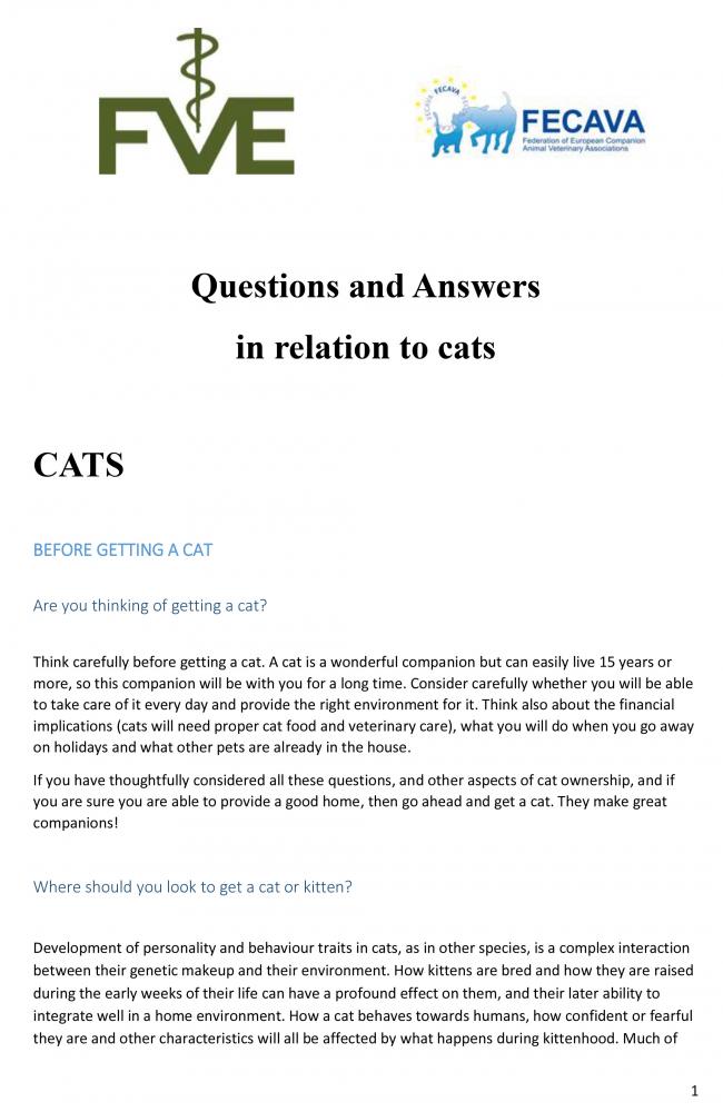 FVE: PREGUNTAS Y RESPUESTAS EN RELACIÓN CON LOS GATOS