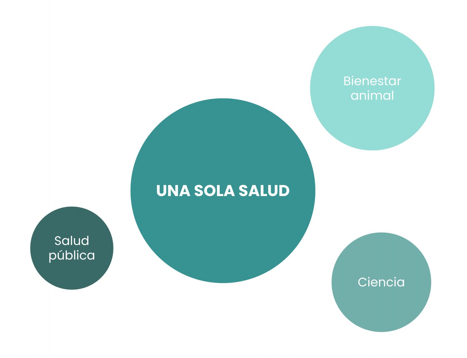 Diagrama Salud Pública, Una Sola Salud, Bienestar Animal