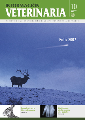 Nº 10 / 2006 / DIC