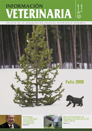 Nº 11 / 2007 / DIC