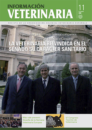 Nº 11 / 2008 / DIC