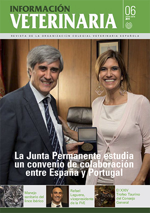 LA JUNTA PERMANENTE ESTUDIA UN CONVENIO DE COLABORACIÓN ENTRE ESPAÑA Y PORTUGAL