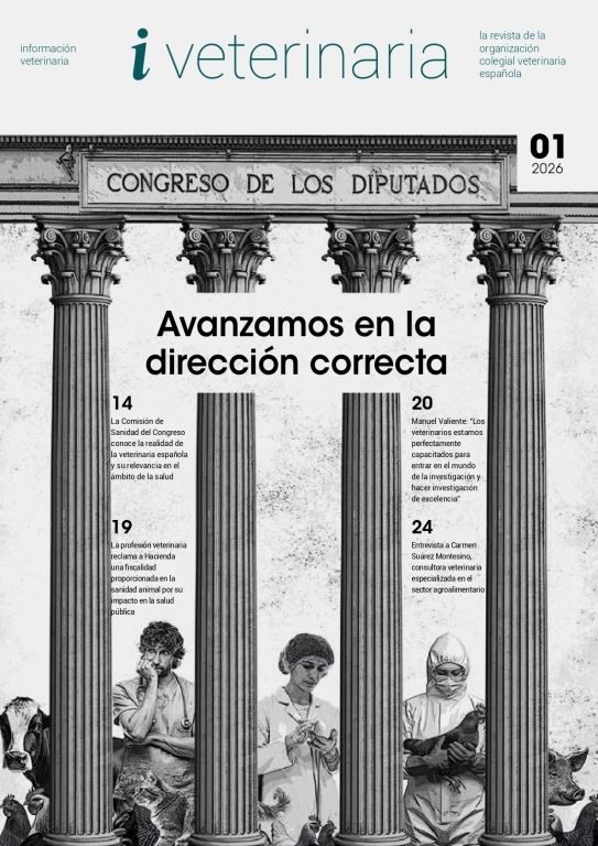 N&Uacute;MERO 1 / 2026