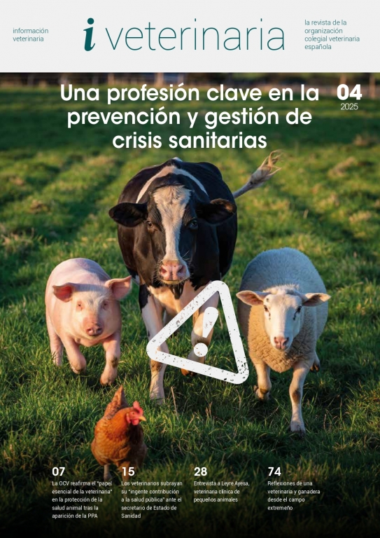 N&Uacute;MERO 4 / 2025