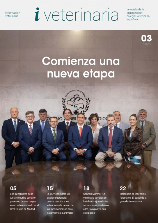  NÚMERO 3 / 2025